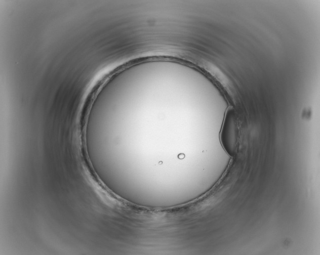 X0000091861072200709050952