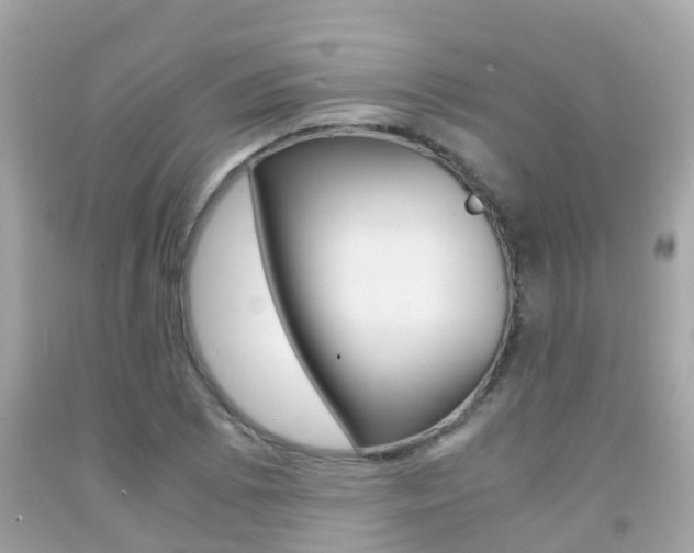 X0000091861073200709050952