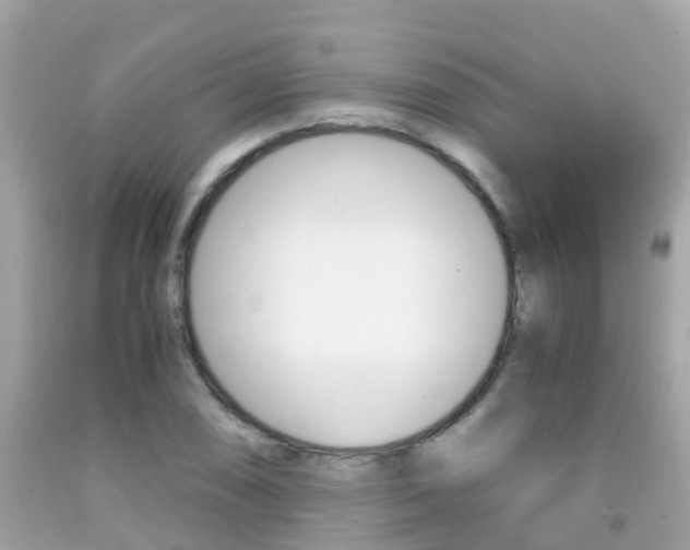 X0000091861074200709050952