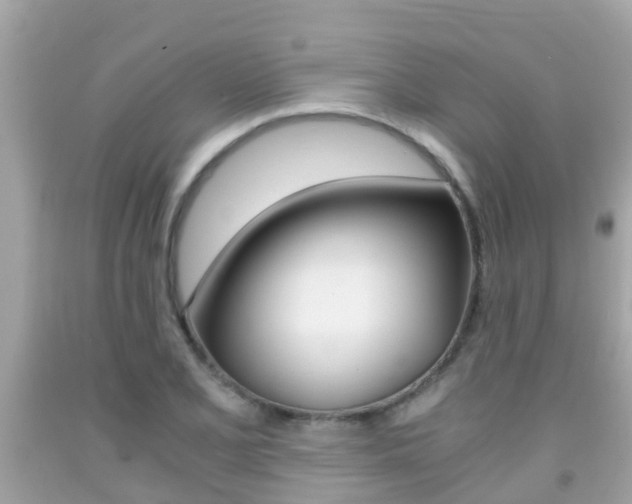 X0000091861077200709050952