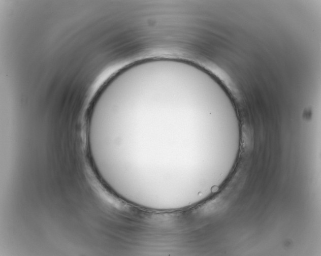 X0000091861078200709050952