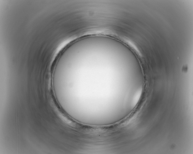 X0000091861079200709050952