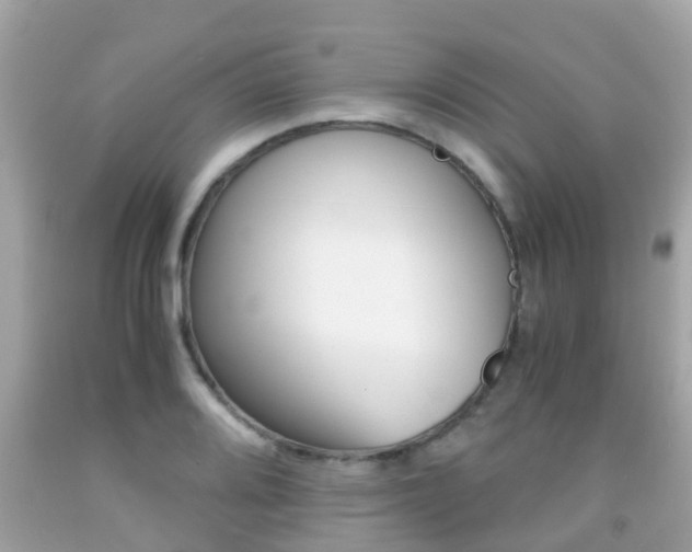 X0000091861080200709050952
