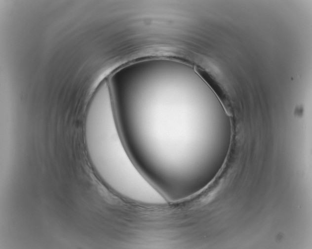 X0000091861081200709050952