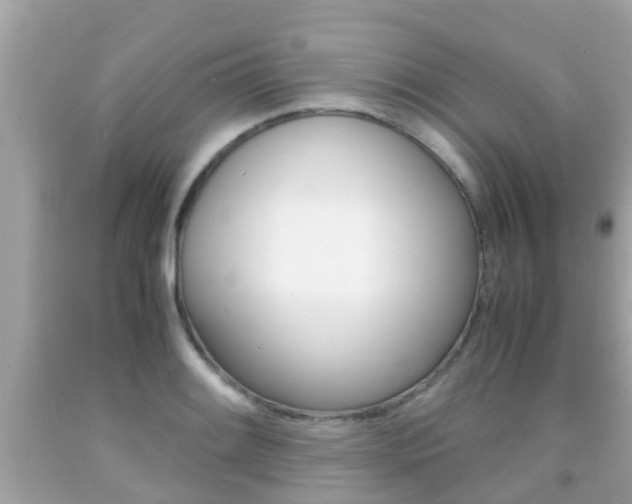 X0000091861084200709050952