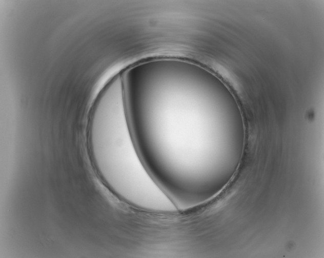 X0000091861085200709050952
