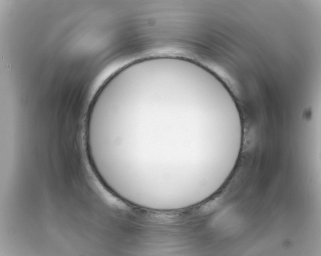 X0000091861086200709050952