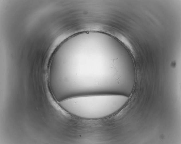 X0000091861088200709050951