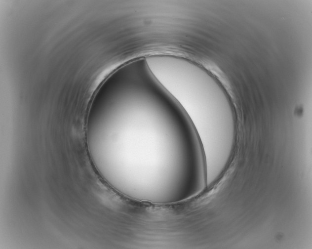X0000091861089200709050951