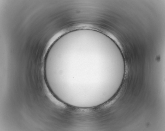 X0000091861090200709050951