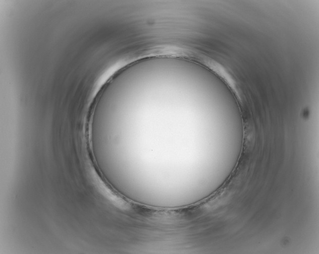 X0000091861091200709050951