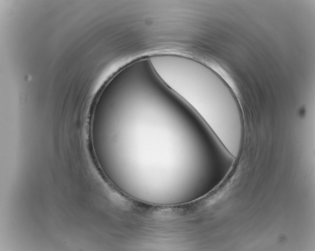 X0000091861093200709050951
