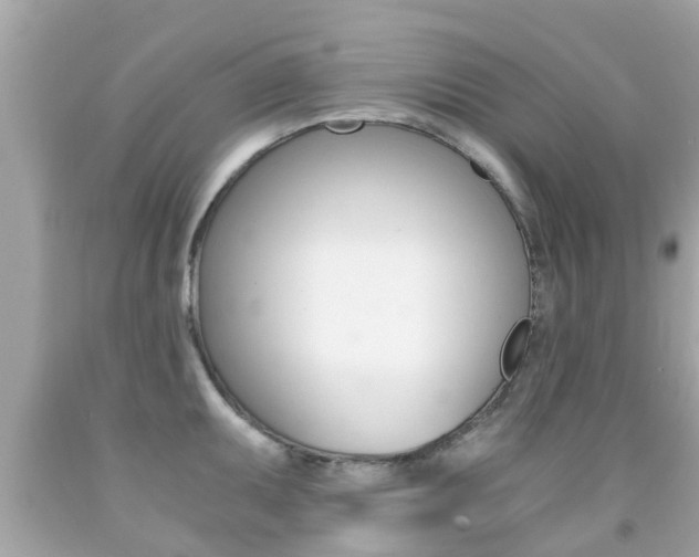 X0000091861095200709050951