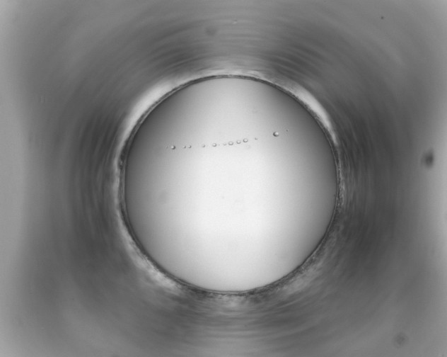 X0000091861096200709050951