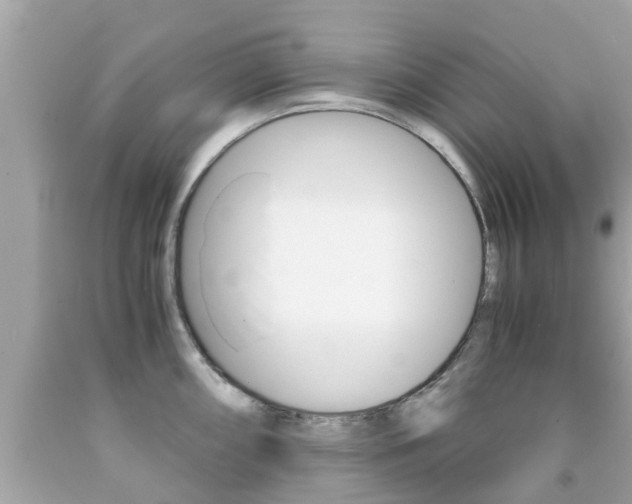 X0000091861098200709050951