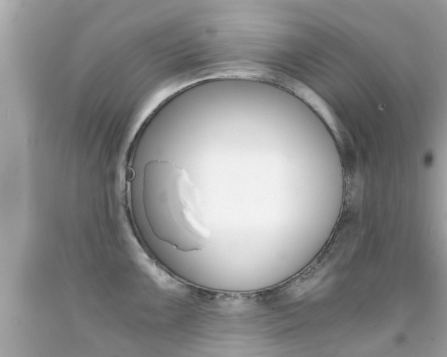 X0000091861099200709050951