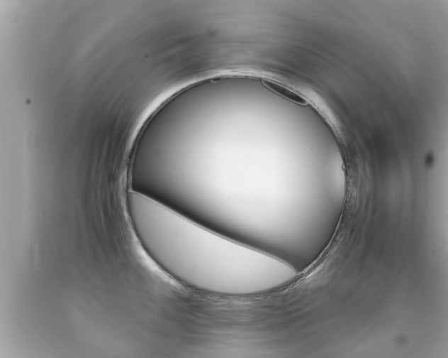 X0000091861100200709050951