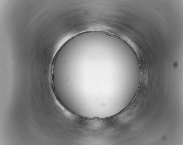 X0000091861103200709050951