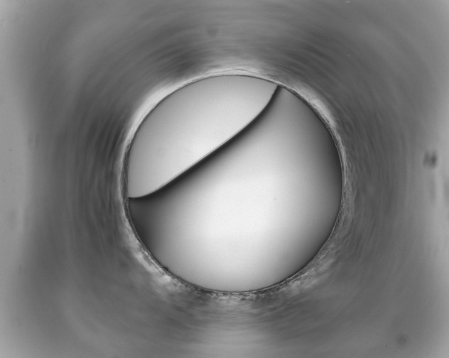 X0000091861104200709050951