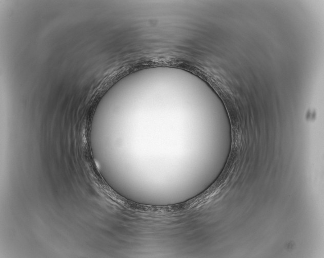 X0000091861106200709050951