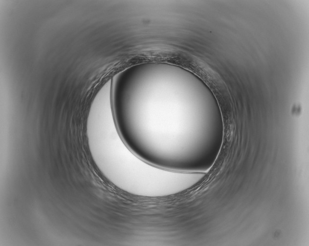 X0000091861108200709050951