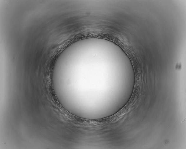 X0000091861109200709050951