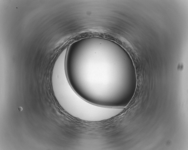 X0000091861110200709050951