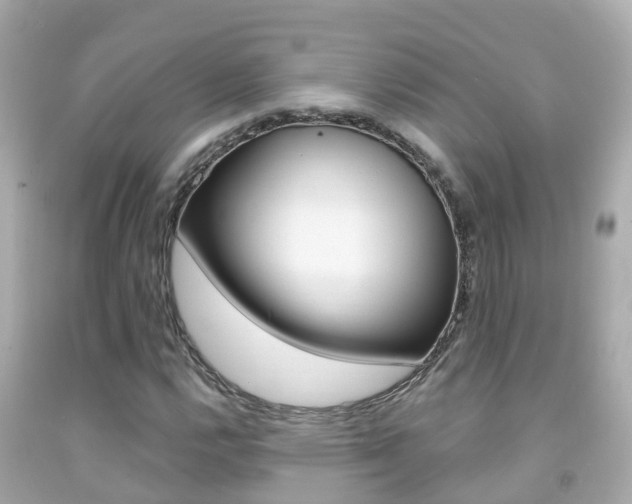 X0000091861112200709050951