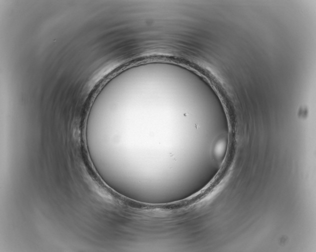 X0000091861113200709050951