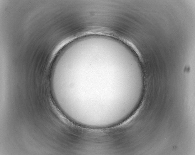 X0000091861114200709050951