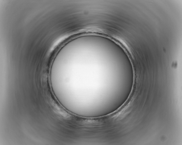 X0000091861115200709050951