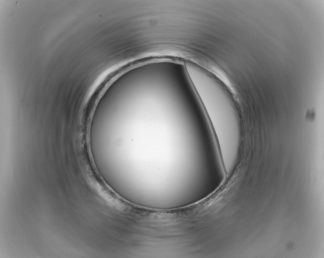 X0000091861116200709050951