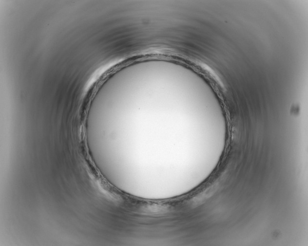 X0000091861117200709050951