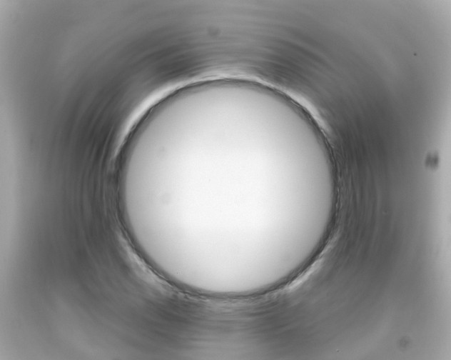 X0000091861118200709050951