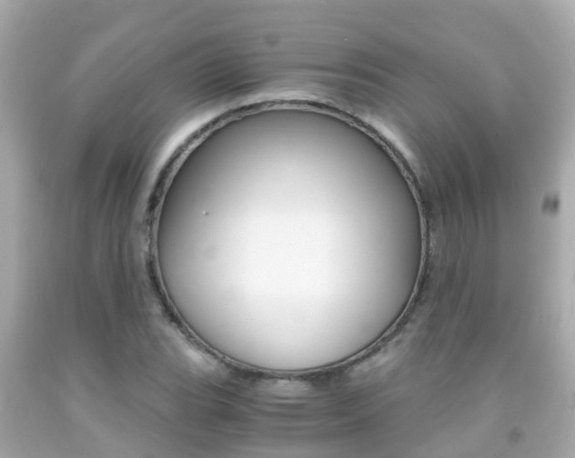X0000091861119200709050951