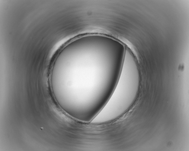 X0000091861120200709050951