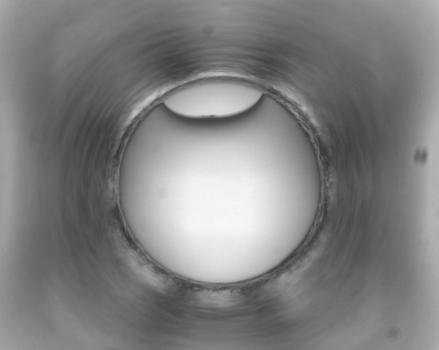 X0000091861121200709050951