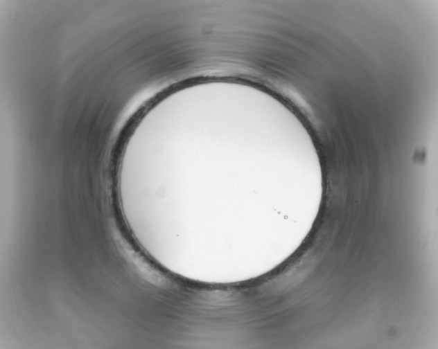 X0000091861122200709050951