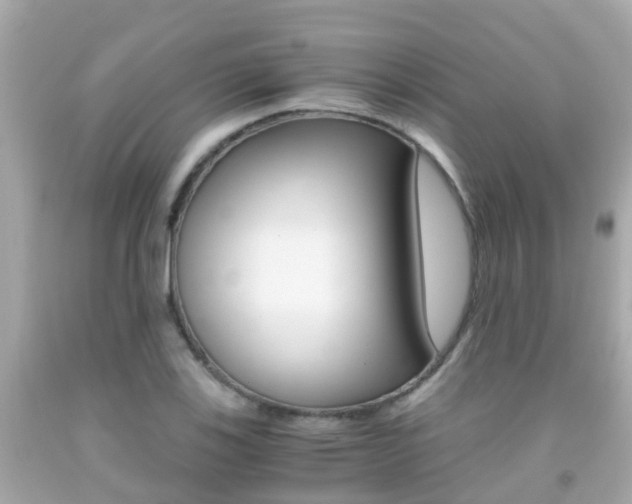 X0000091861123200709050951