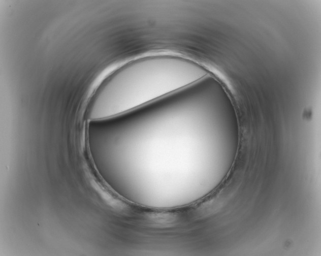 X0000091861127200709050951