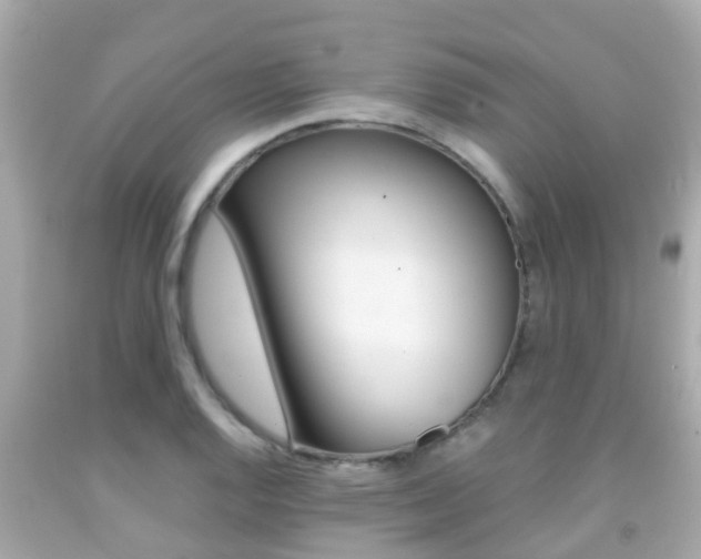 X0000091861128200709050951