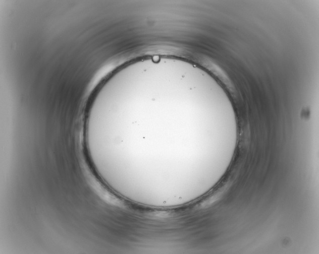 X0000091861130200709050951