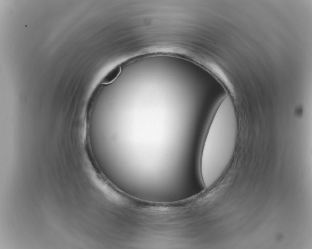 X0000091861132200709050951