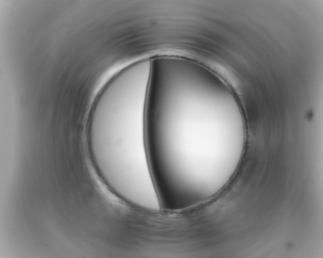 X0000091861133200709050951