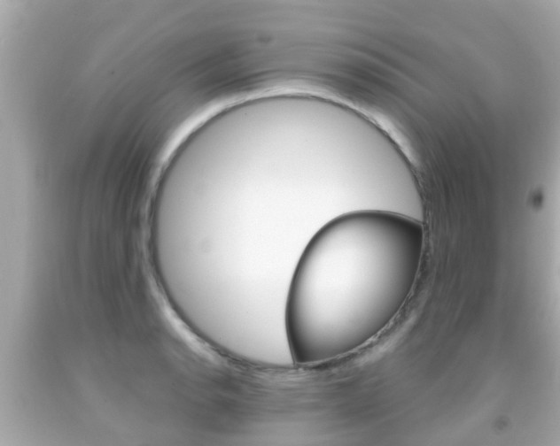 X0000091861134200709050951