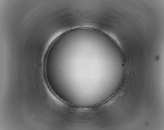 X0000091861135200709050951