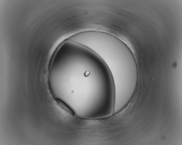 X0000091861136200709050951