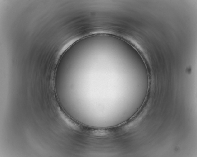 X0000091861137200709050951