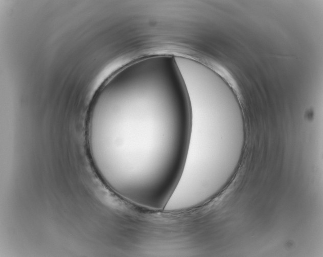 X0000091861138200709050951