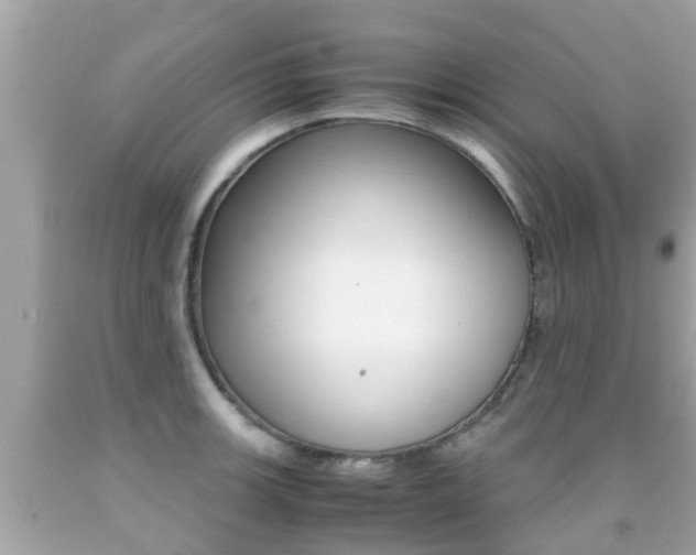 X0000091861139200709050951